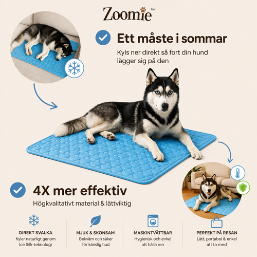 Zoomie™ - ArcticPaw - Självkylande matta för Hundar