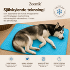 Zoomie™ - ArcticPaw - Självkylande matta för Hundar