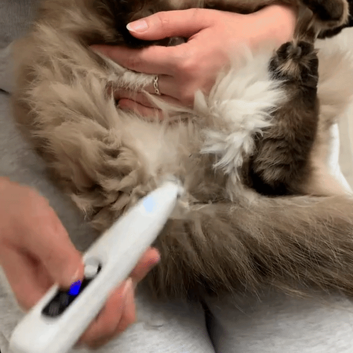 KittyTrim™ - för en friskare & lyckligare katt