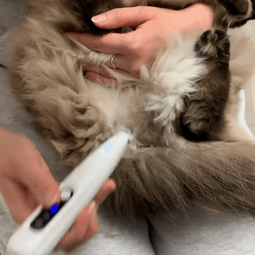 KittyTrim™ - för en friskare & lyckligare katt